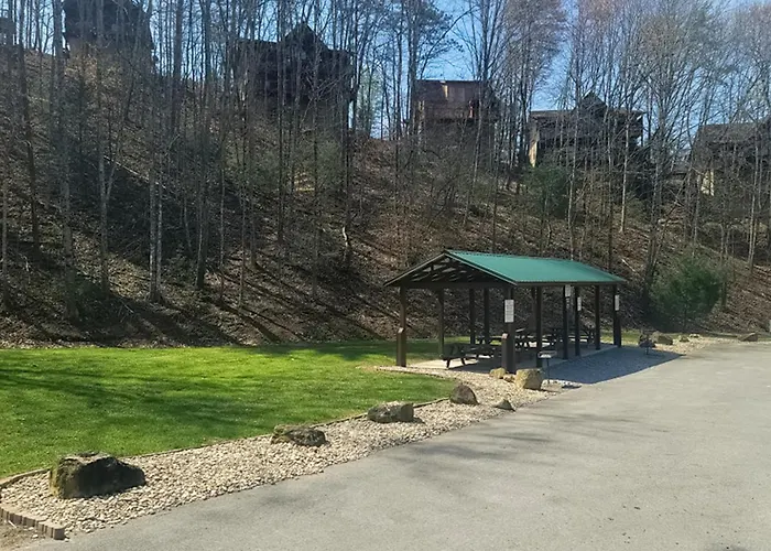 Smoky Mountain View